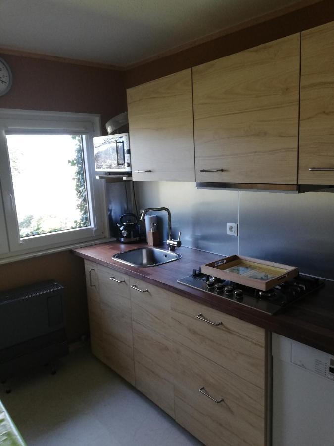 Haus Pauline Apartment Montenau Екстериор снимка
